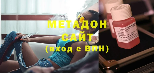 прущие грибы Бородино