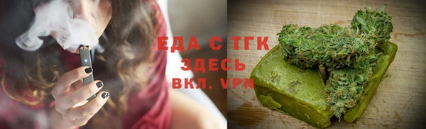 прущие грибы Бородино