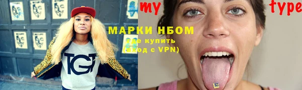 прущие грибы Бородино