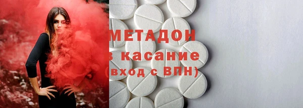 прущие грибы Бородино