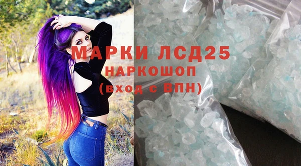 прущие грибы Бородино