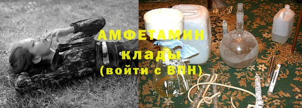 прущие грибы Бородино