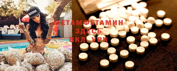 прущие грибы Бородино