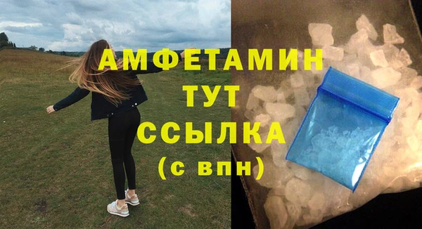 прущие грибы Бородино