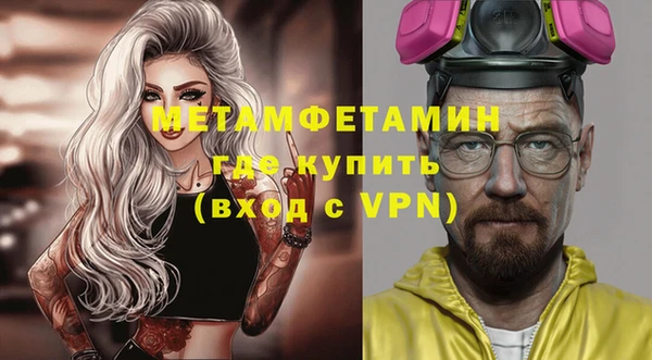 прущие грибы Бородино