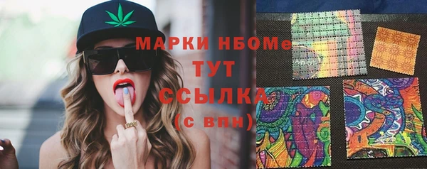 прущие грибы Бородино