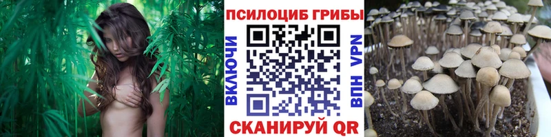 Купить закладки  Ленск  Галлюциногенные грибы Magic Shrooms 